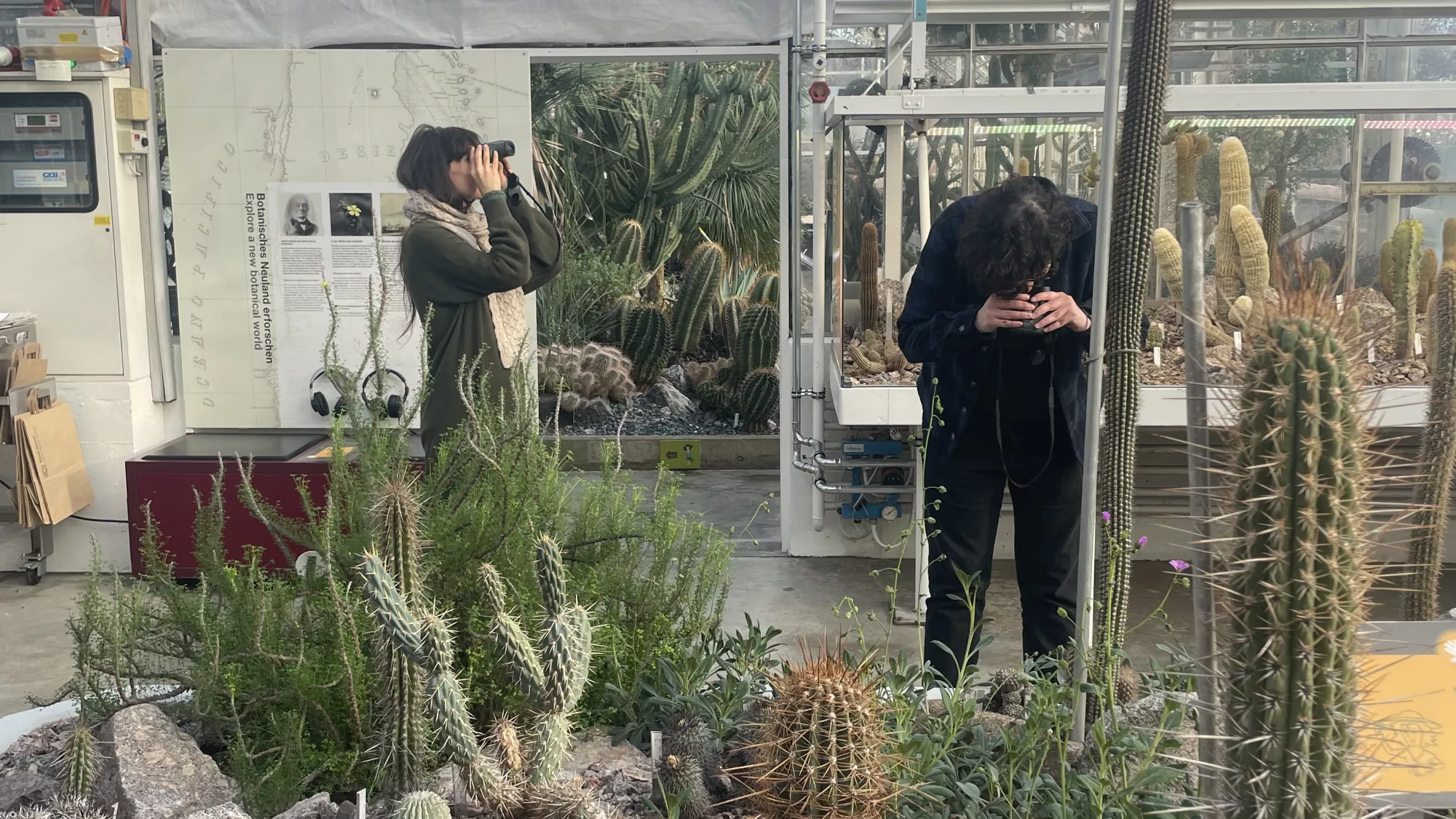 <p>Two students stand inside the Sukkulenten-Sammlung Zürich, surrounded by cacti, succulents, rocks, and plant labels. Both are observing the plants through binoculars: one holds the binoculars up to her eyes, while the other bends forward to look closely at the plants. The greenhouse is characterized by glass walls, metal structures, pipes, and rows of desert plants in the background.</p>