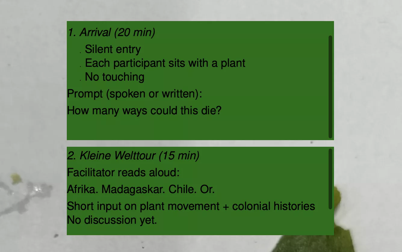 Screenshot of Deborah Macauley’s contribution to the Research Catalogue. Its a workshop format. Two green text boxes sit on top of a pale, blurred background image. The first box is titled “1. Arrival (20 min)” and lists: silent entry, each participant sits with a plant, and no touching. It includes the prompt: “How many ways could this die?” The second box is titled “2. Kleine Welttour (15 min)” and describes a facilitator reading aloud a short input on plant movement and colonial histories, naming Africa, Madagascar, Chile, and other places.