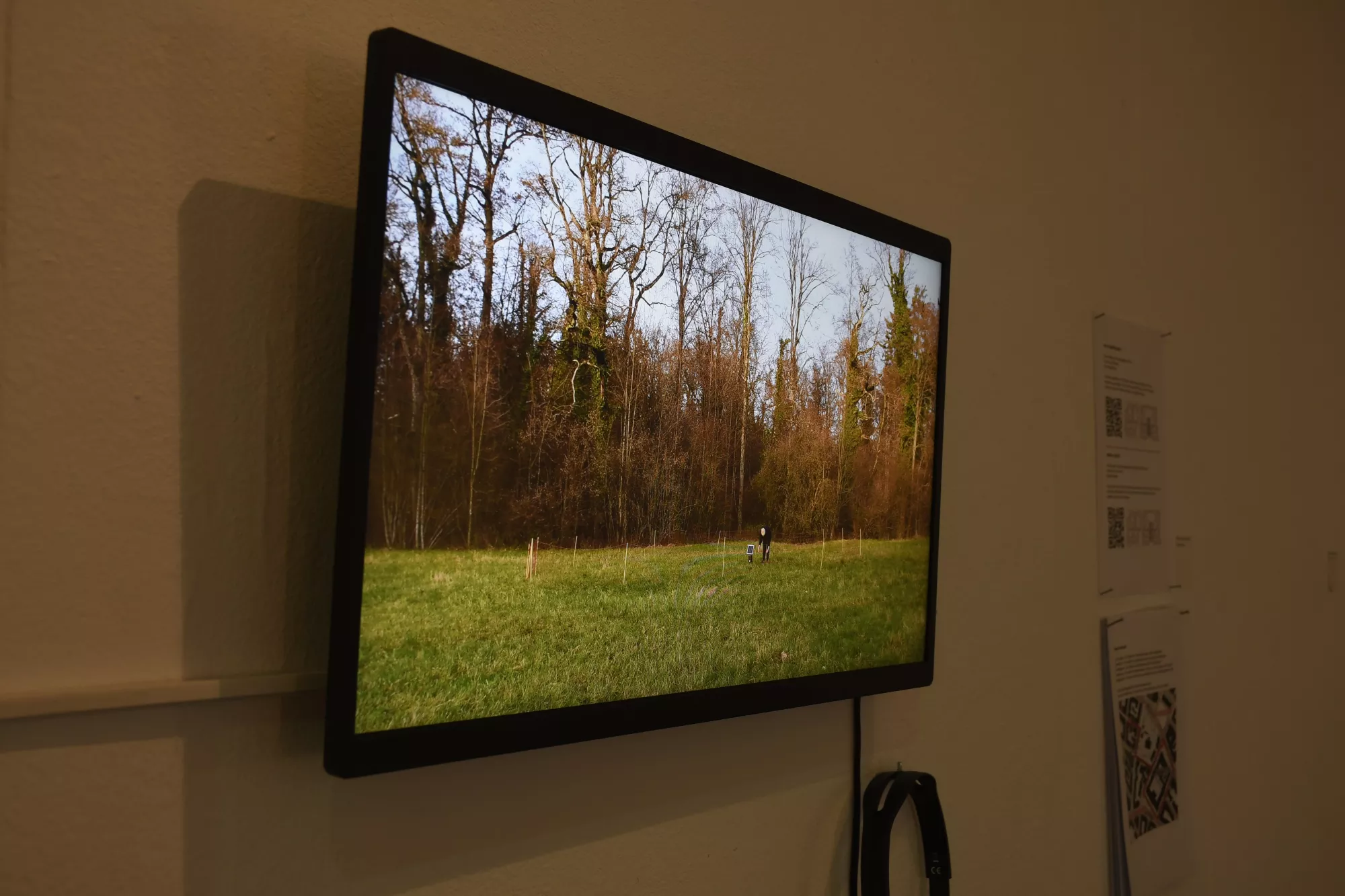 Installation view of a wall-mounted screen in an exhibition space. The screen shows a video still of a grassy field bordered by tall trees, with a small figure standing in the distance. A circular fence is visible in the field, surrounding or marking an area within the landscape. To the right of the screen, printed wall texts with QR codes are displayed, and a pair of headphones hangs below the monitor.